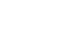 icon Analytik