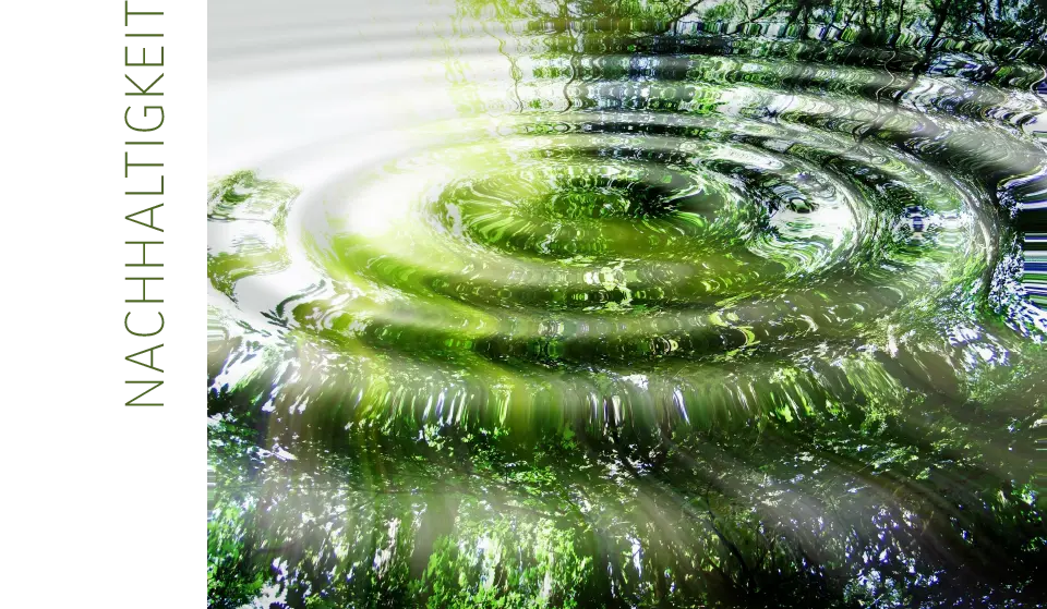 eine Wasseroberfläche in der ein Wassertropfen Kreise zieht. 