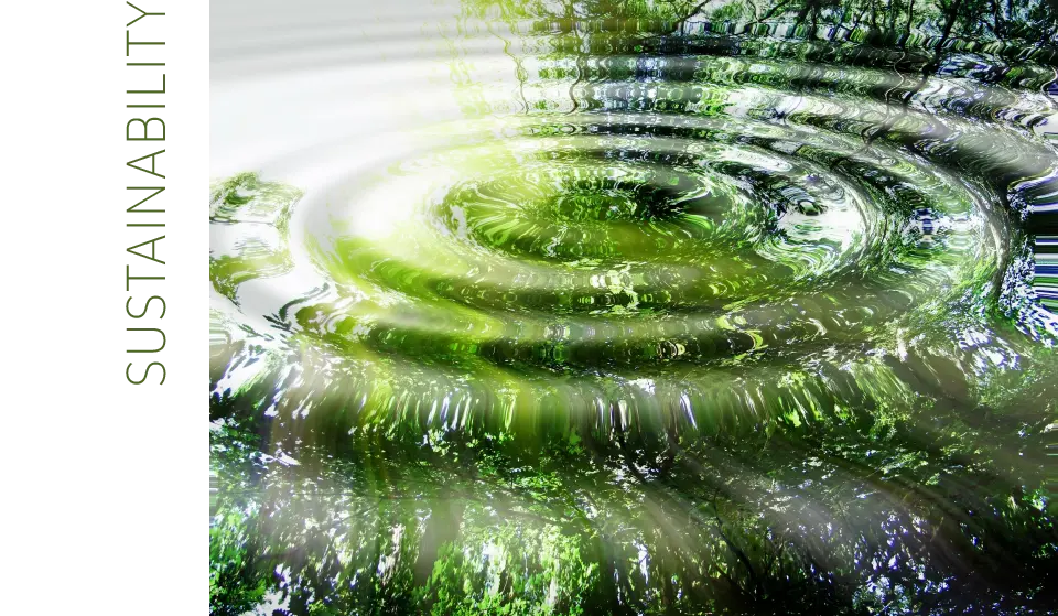 Ein Wassertropfen zieht auf der Oberfläche Kreise. Das Wasser schimmert grün, weil sich Bäume darin spiegeln.
