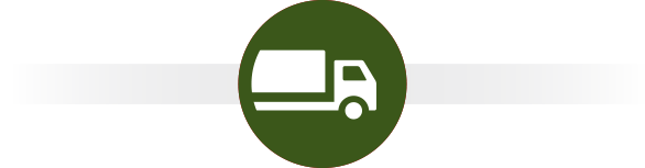 Icon LKW
