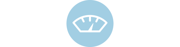 Icon garantierte Transparenz bei Verwiegung